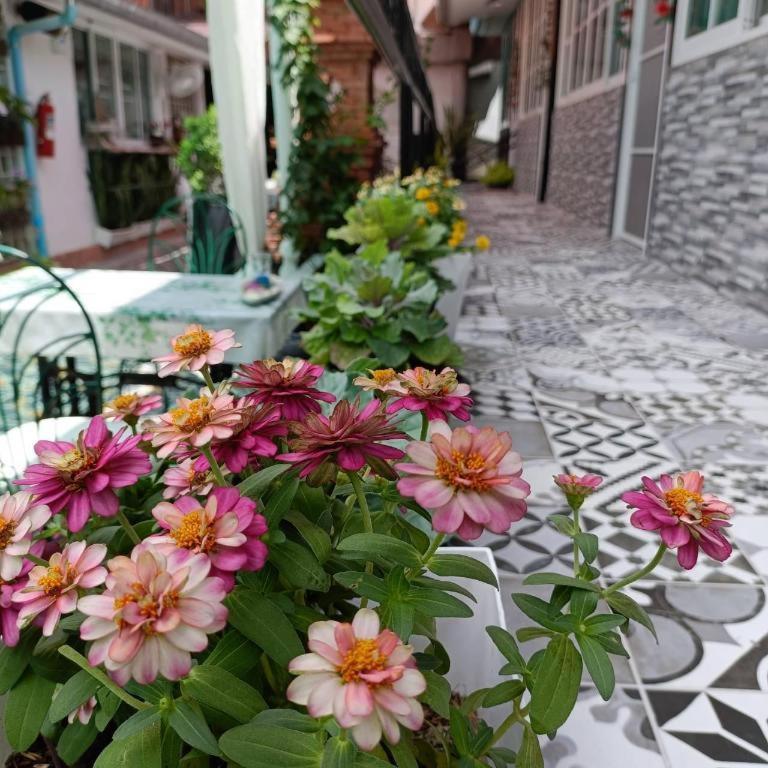 Palm Sweet Hotel Prachuap Khiri Khan Exterior photo