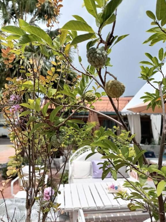 Palm Sweet Hotel Prachuap Khiri Khan Exterior photo